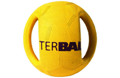 Pet Brands Small Interball with Swing Tag for Dogs Pet Brands Small Interball with Swing Tag for Dogs
